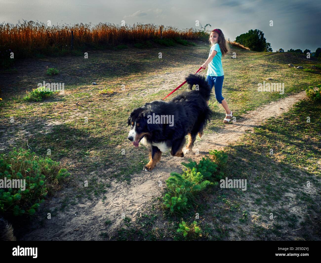 Fille souriante prenant son chien pour une promenade dans la campagne, Pologne Banque D'Images