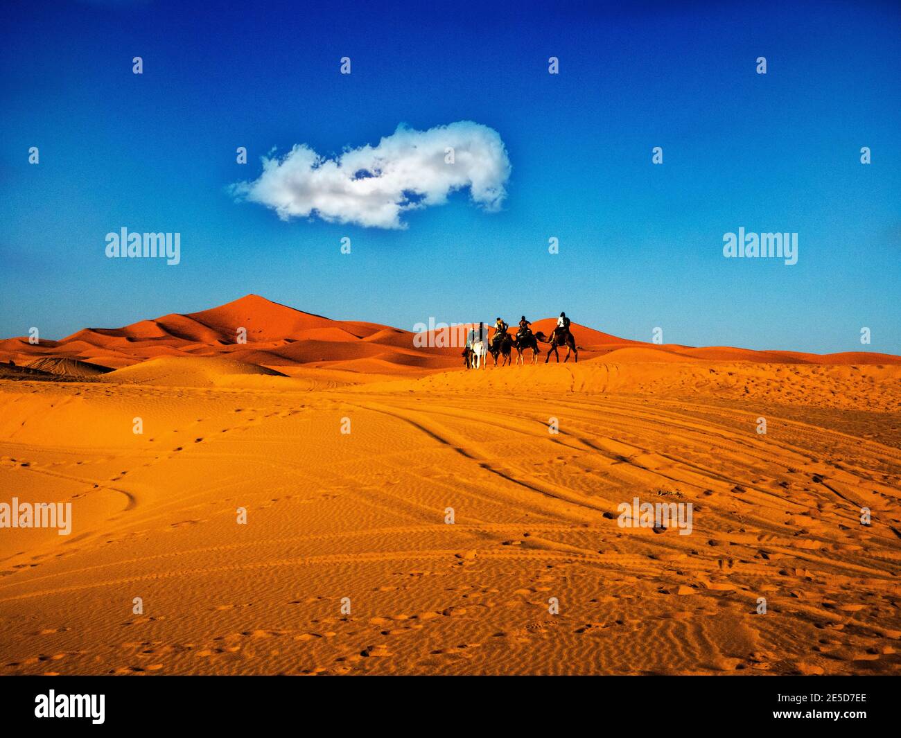 Vue arrière d'un train à dos de chameau à travers le désert du Sahara, Maroc Banque D'Images