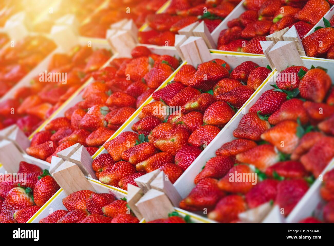 Fraises fraîchement récoltées dans des caisses en bois sur le comptoir à marché agricole Banque D'Images