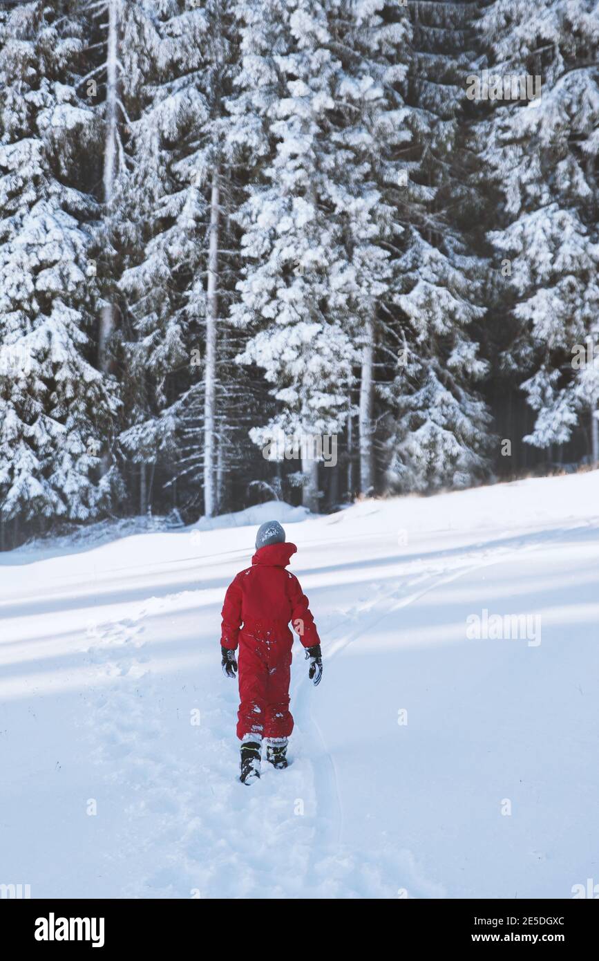 Marche arrière dans la neige en hiver, Bulgarie Banque D'Images