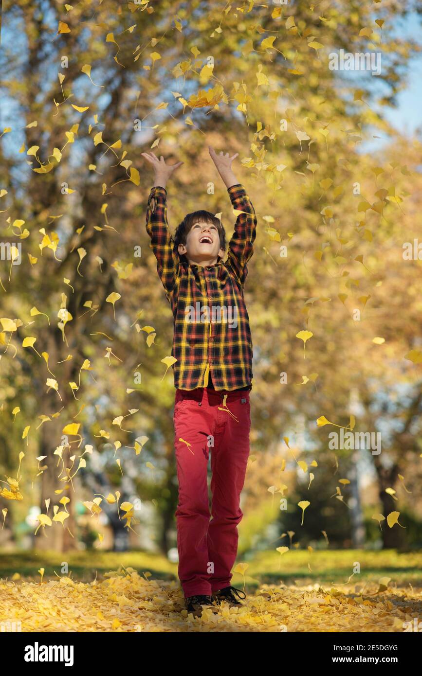 Garçon jetant des feuilles d'automne dans les airs, Bulgarie Banque D'Images