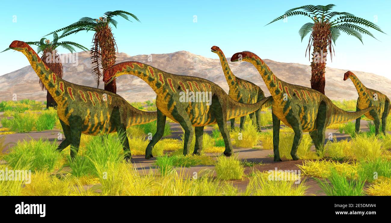 Un troupeau de dinosaures de Jobaria voyage ensemble dans le désert du Sahara, en Afrique pendant la période jurassique. Banque D'Images