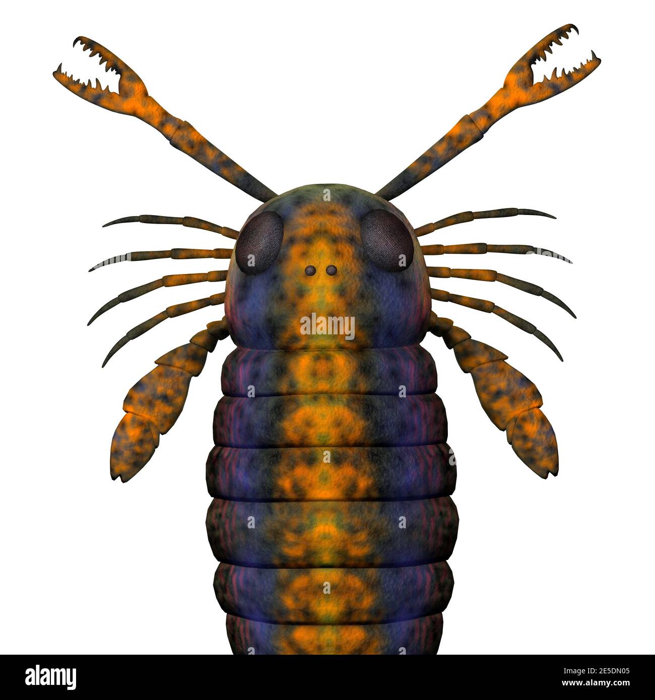 Le scorpion marin Pterygotus était un poisson marin carnivore qui vivait dans les mers de l'ère paléozoïque. Banque D'Images