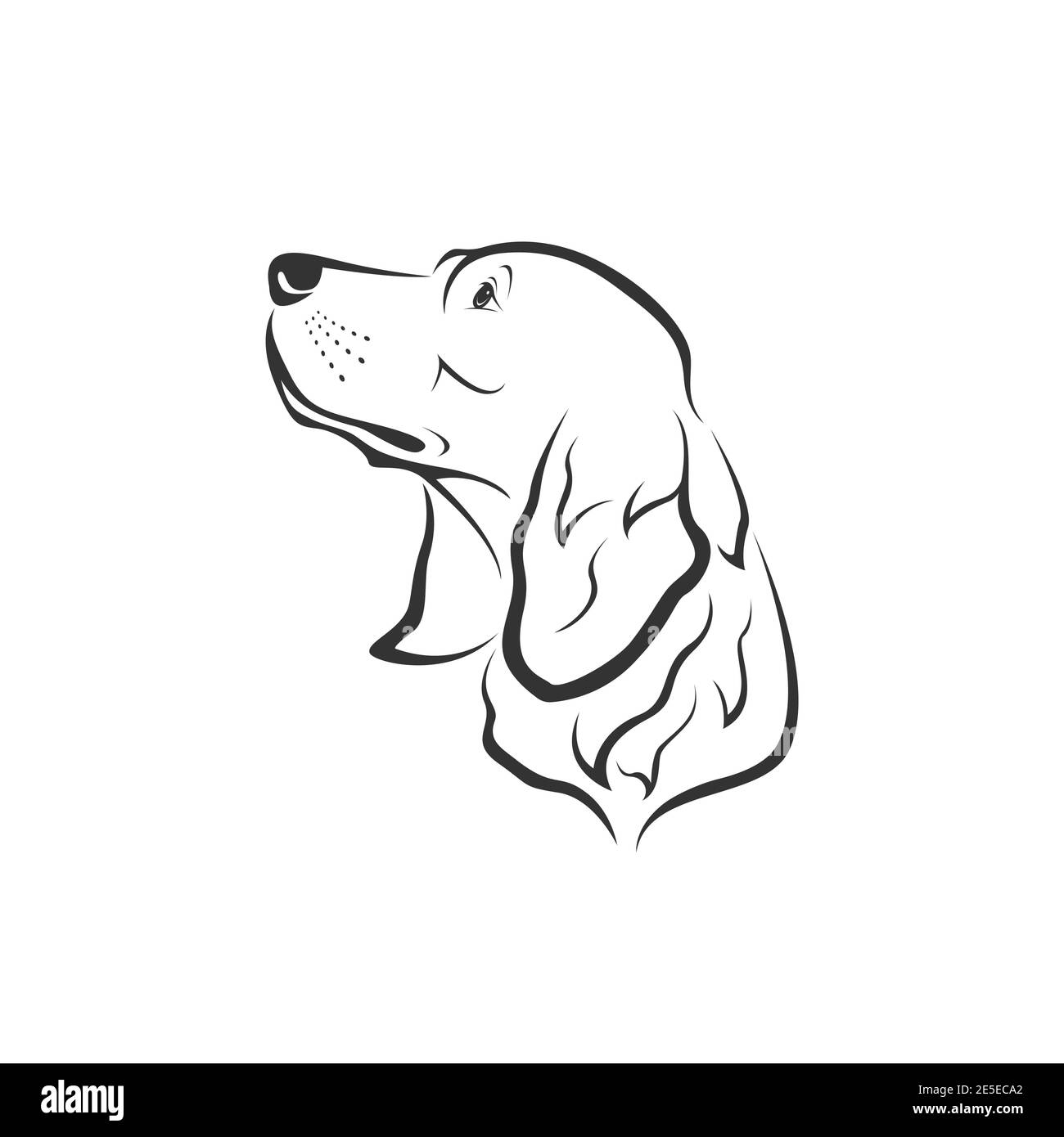 Vecteur d'une tête de chien (Golden Retriever) sur fond blanc. Animaux de compagnie. Illustration vectorielle superposée facile à modifier. Animaux. Illustration de Vecteur