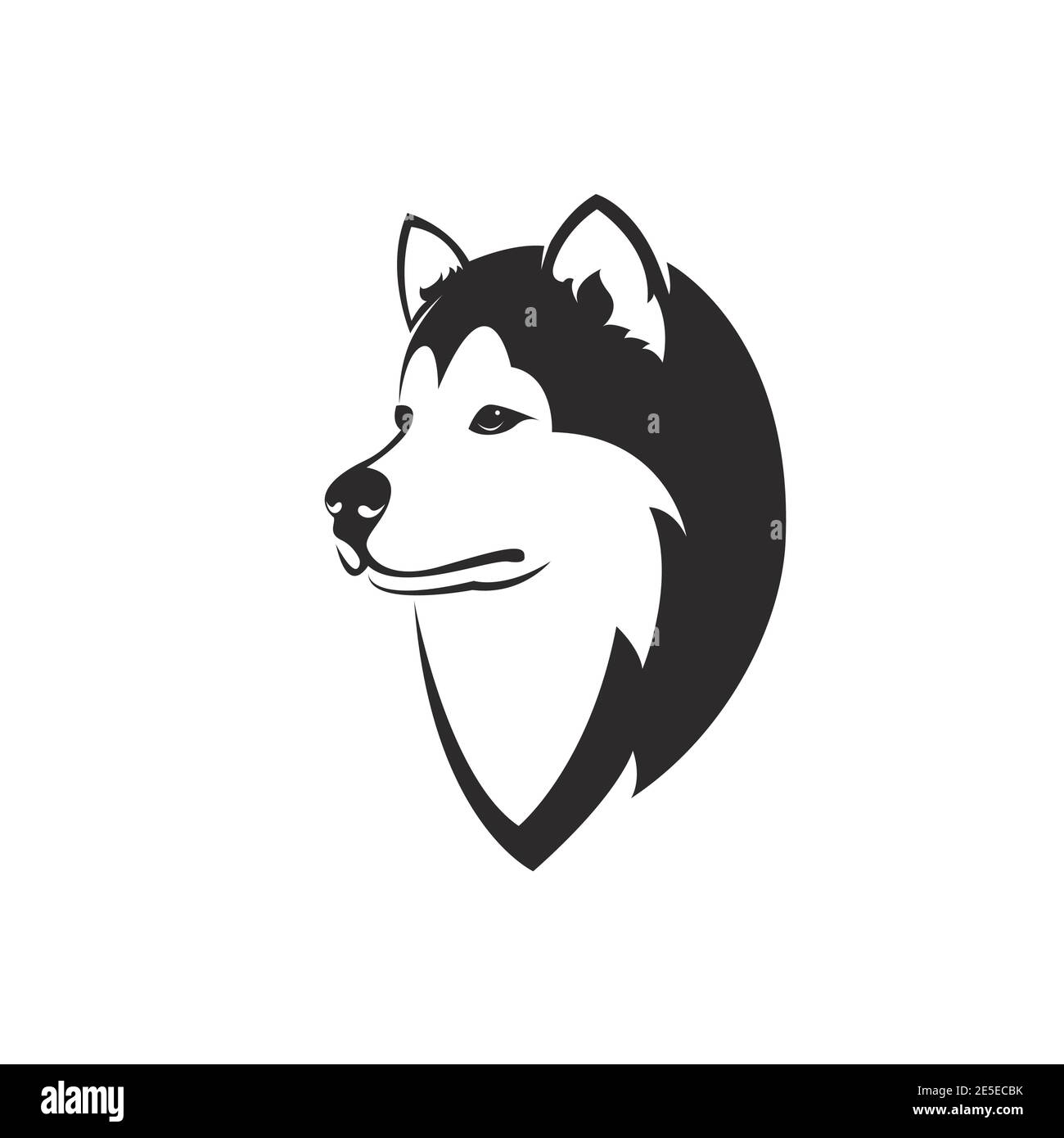 Vecteur d'une tête de chien (Husky sibérien) sur fond blanc. Illustration vectorielle superposée facile à modifier. Animaux sauvages. Animaux de compagnie. Illustration de Vecteur