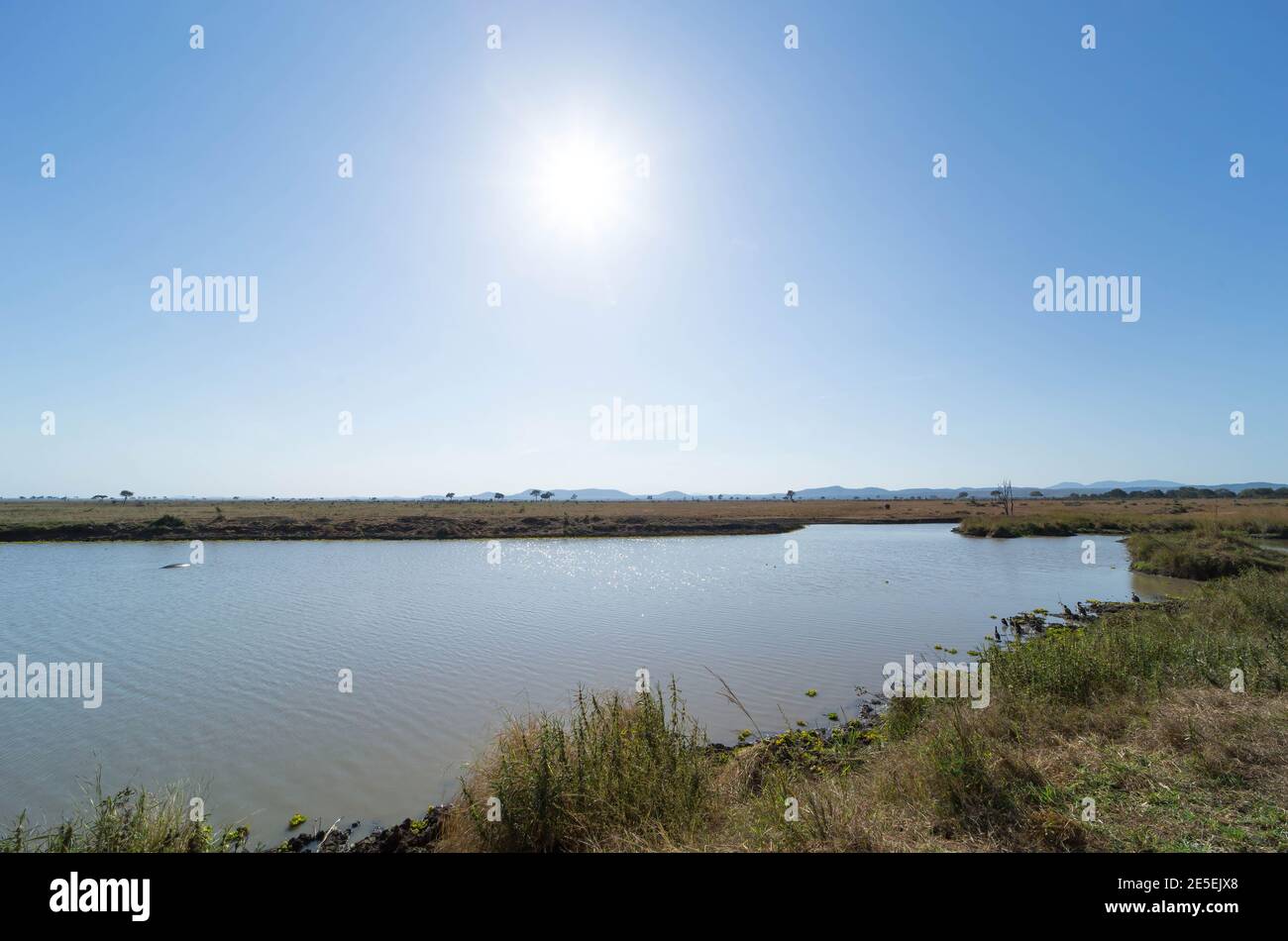 Parc national de Mikumi Banque D'Images