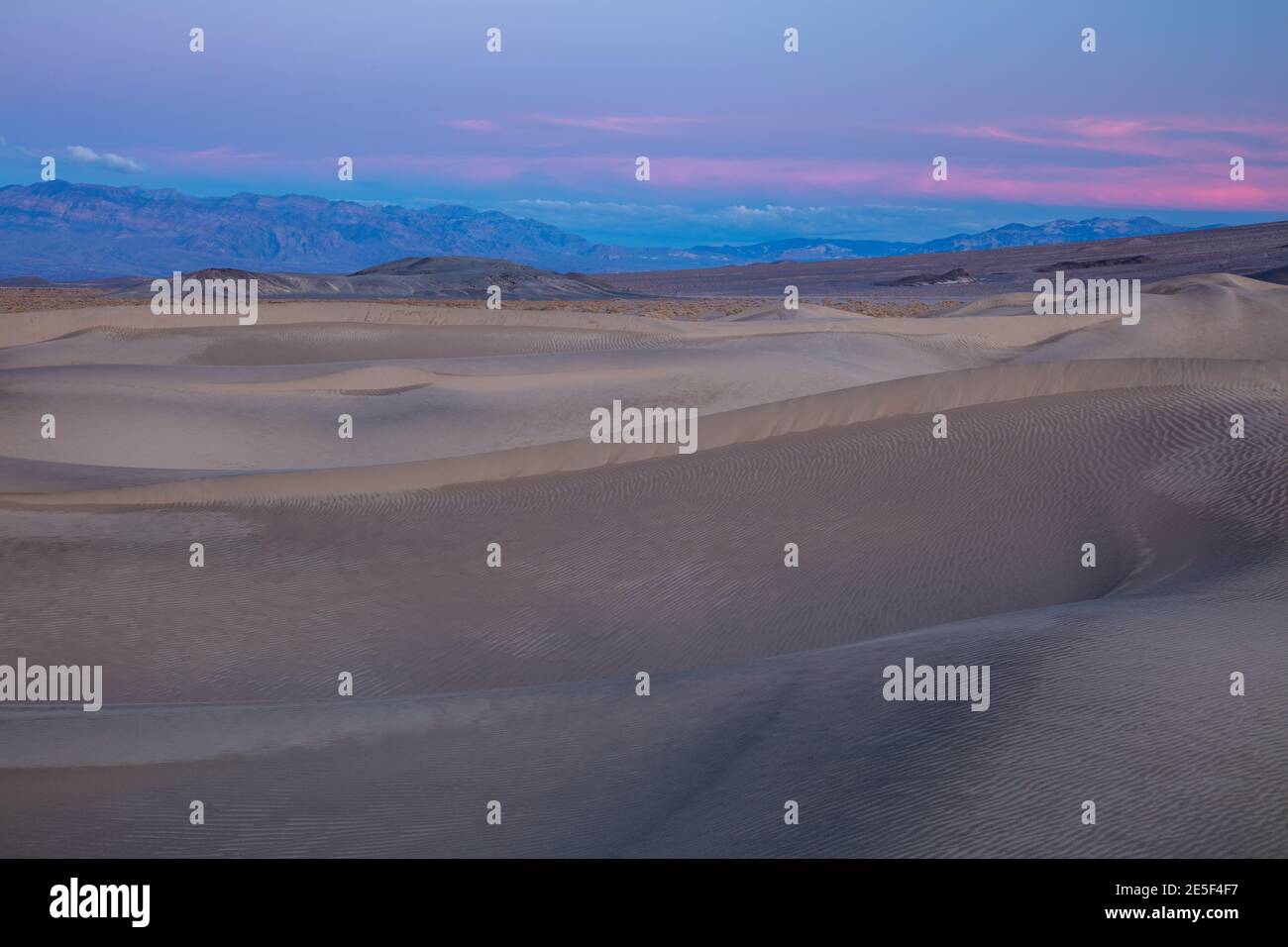 Coucher de soleil pastel sur les dunes de sable de Mesquite Flat, en hiver, parc national de la Vallée de la mort, Californie Banque D'Images