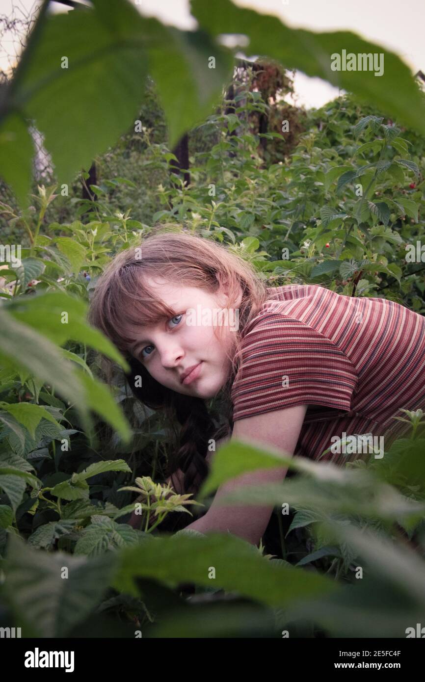 une jeune fille mignonne recueille les framboises dans votre jardin Banque D'Images