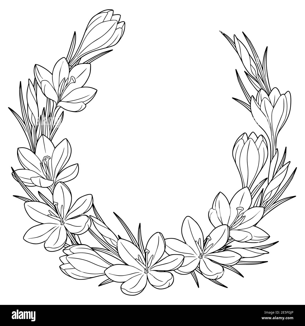 Cadre avec fleurs de printemps noir et blanc crocus. Livre de coloriage pour adultes pour la détente et la méditation. Éléments isolés vectoriels Illustration de Vecteur