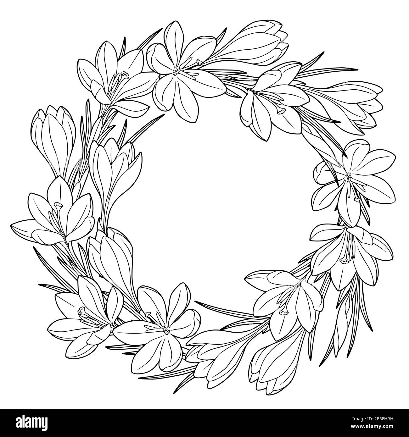 Wreafh avec fleurs de printemps crocus. Livre de coloriage pour adultes pour la détente et la méditation. Éléments isolés vectoriels noir et blanc Illustration de Vecteur