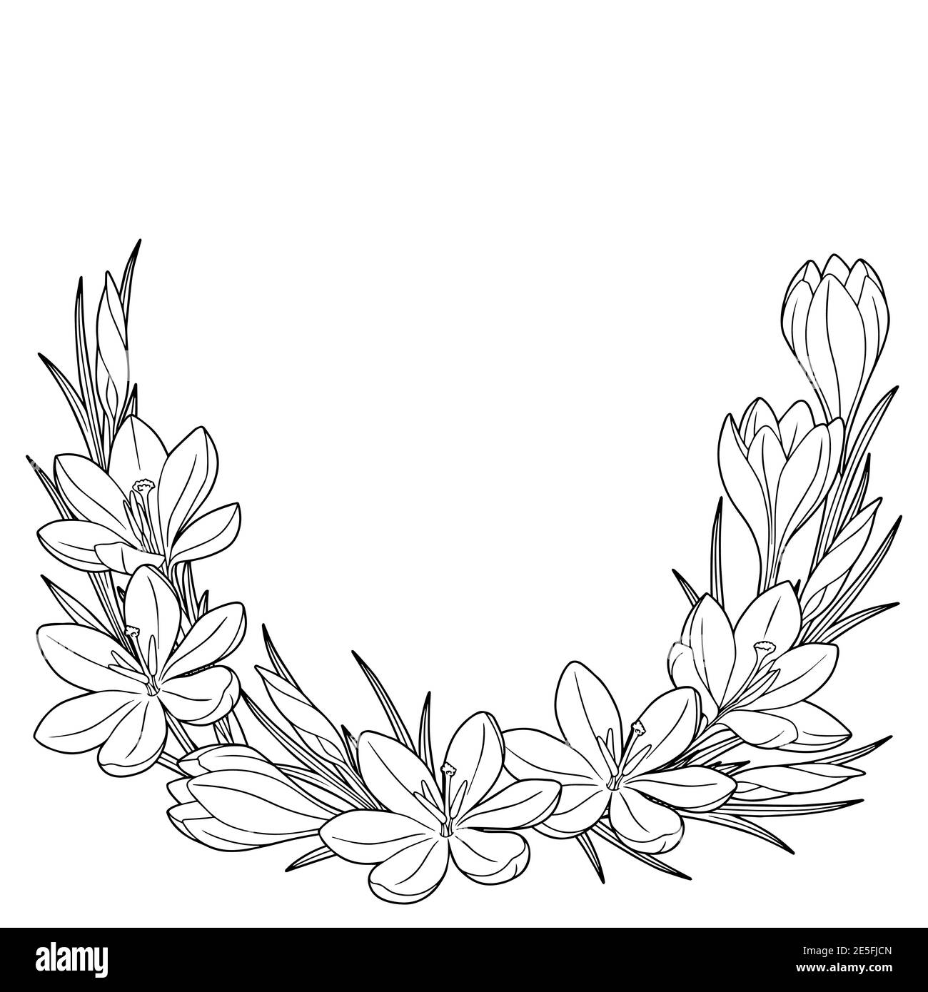 Cadre avec fleurs de printemps noir et blanc crocus. Livre de coloriage pour adultes pour la détente et la méditation. Éléments isolés vectoriels Illustration de Vecteur
