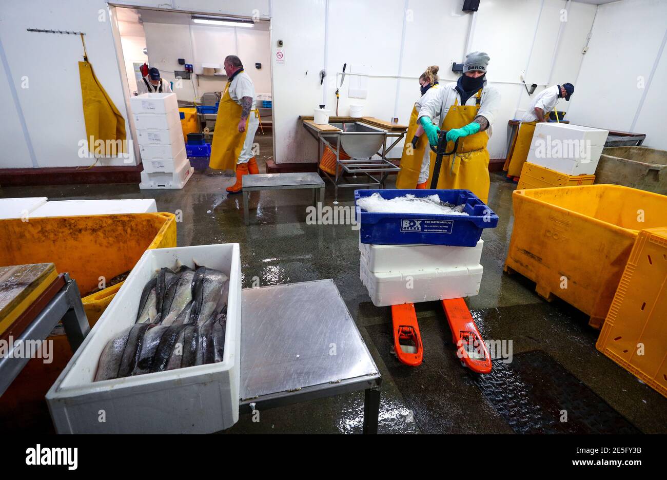 Un membre du personnel de Midland Fish à Fleetwood roues un plateau de poissons préparé pour la vente aux quais de Fleetwood, Lancashire. L'introduction de nouveaux contrôles et de nouvelles formalités depuis la fin de la période de transition du Brexit le 31 décembre a causé d'énormes perturbations aux exportations de poisson et de fruits de mer frais vers l'UE, les producteurs devenant de plus en plus frustrés par l'absence d'action gouvernementale. Date de la photo: Jeudi 28 janvier 2021. Banque D'Images