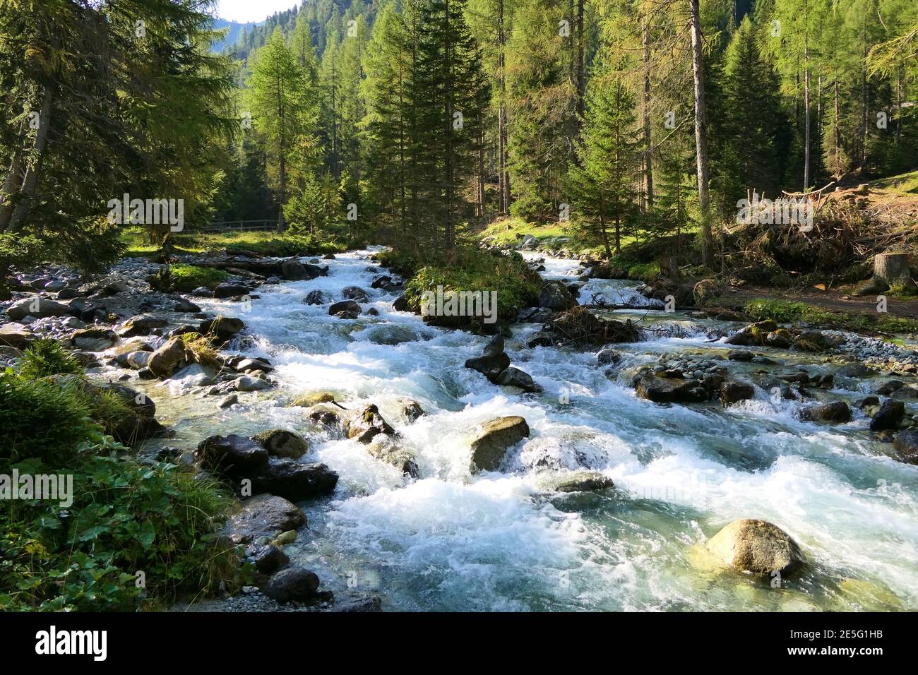 Le ruisseau torrentiel de montagne rougit à travers les forêts alpines dans la vallée Banque D'Images