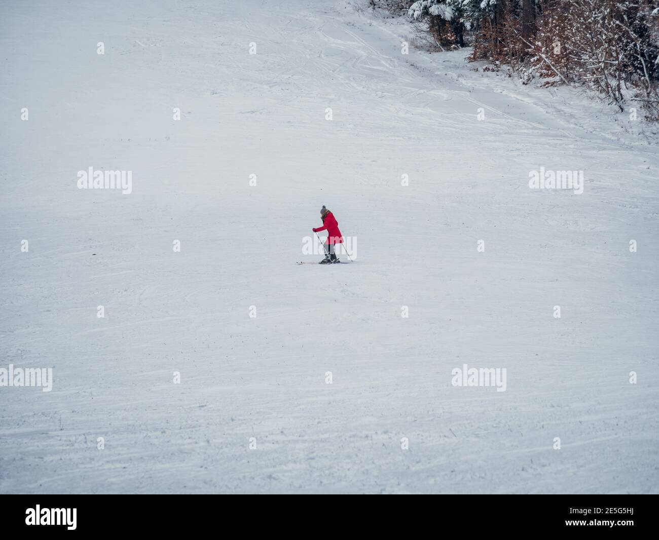 Skieur en train de skier sur la corde de ski de Clabucet à Predeal Station de montagne en Roumanie Banque D'Images