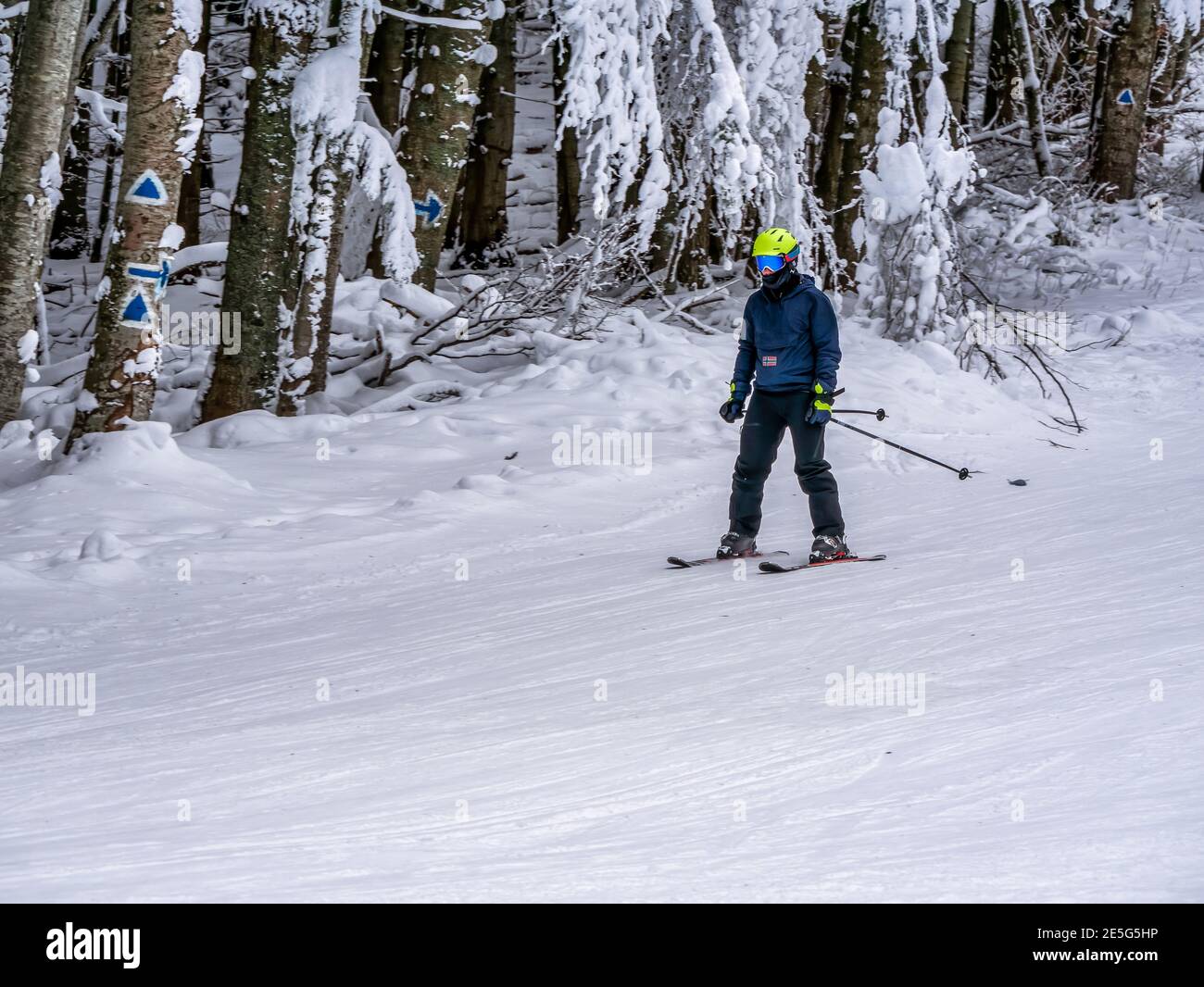 Skieur en train de skier sur la corde de ski de Clabucet à Predeal Station de montagne en Roumanie Banque D'Images