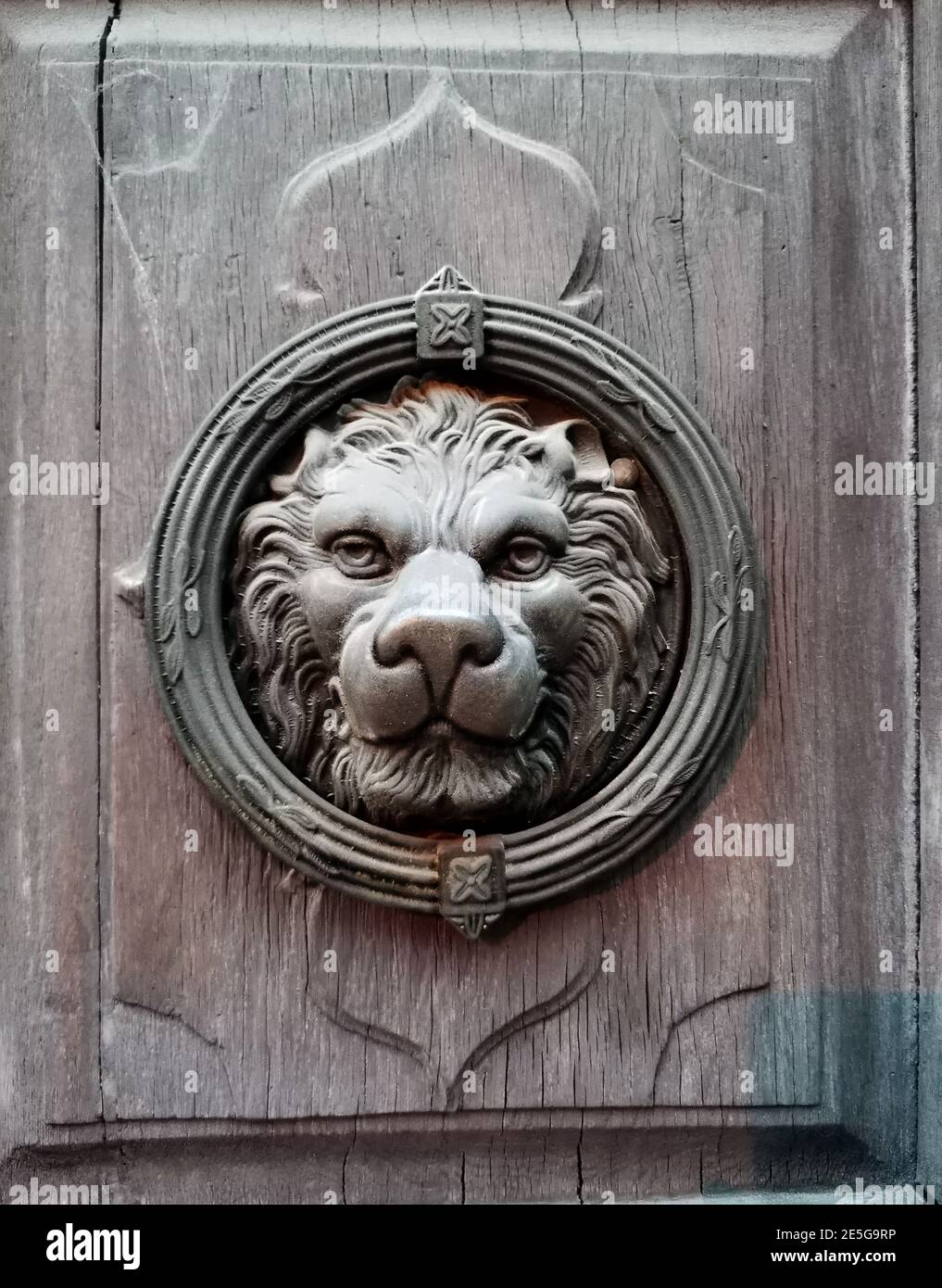 Ancienne porte avant avec une tête de lion. Photo de la sculpture antique d'un lion sur l'ancienne porte en bois. Banque D'Images