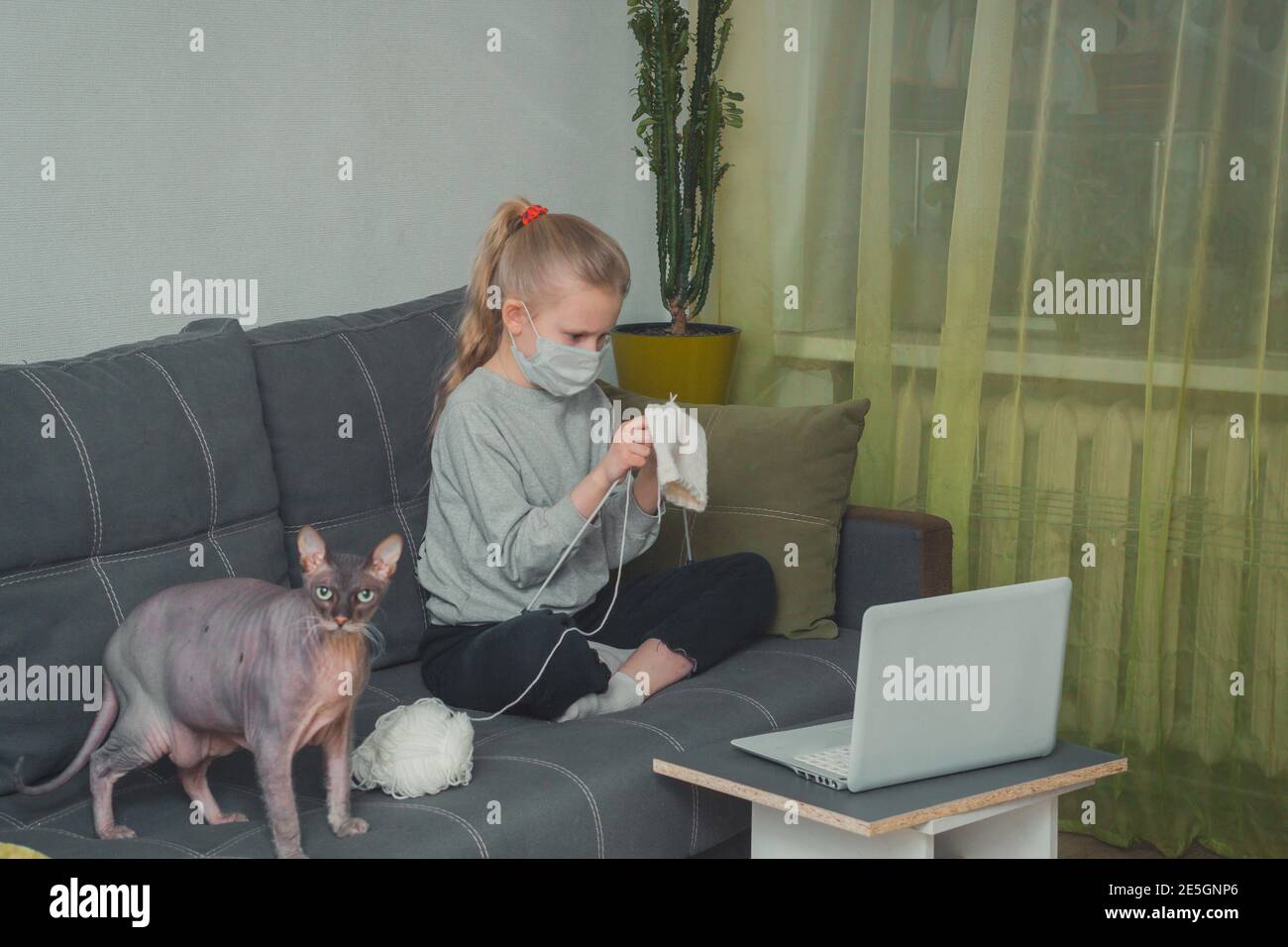 Fille et son chat apprend à tricoter, en regardant des vidéos d'instruction sur un ordinateur portable Banque D'Images