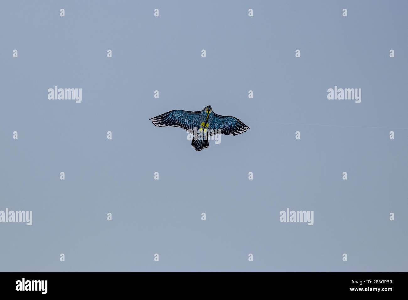 Le cerf-volant vole comme un oiseau dans le bleu et ciel blanc Banque D'Images