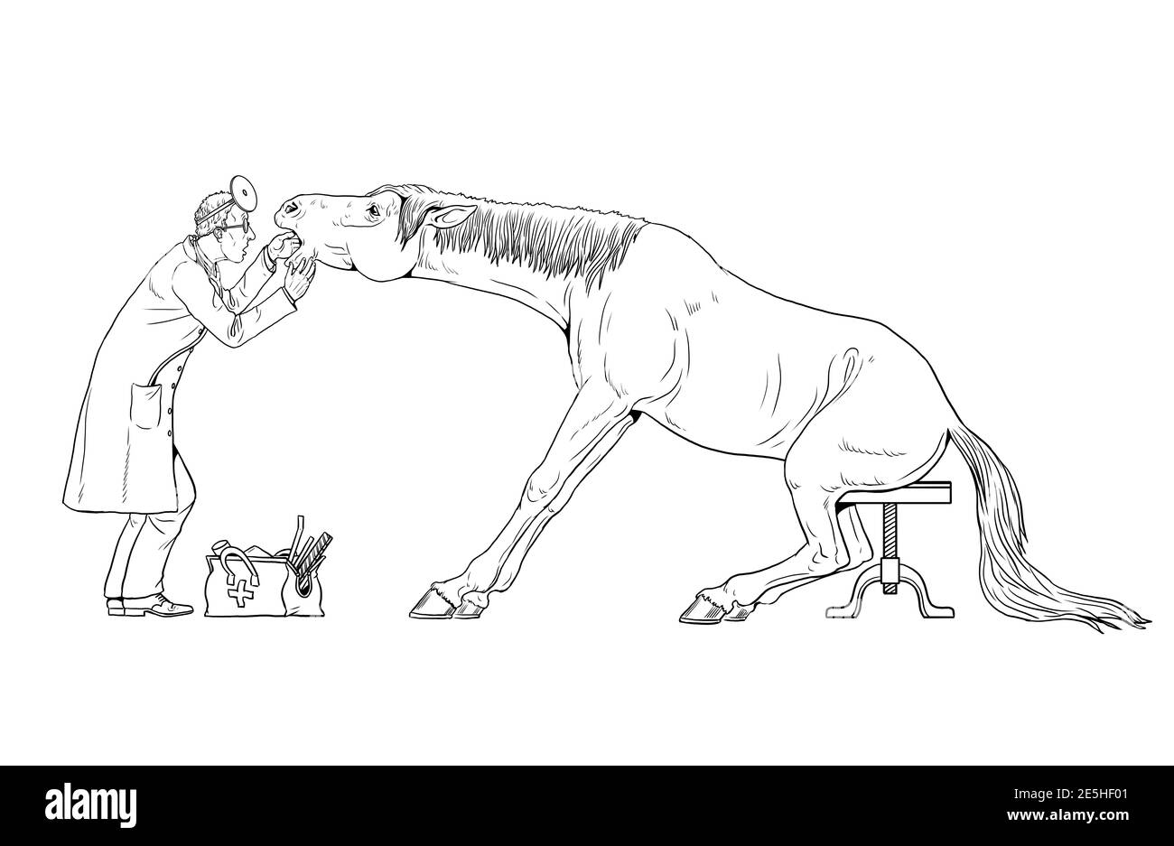 Vétérinaire examine le cheval. Dentiste pour le cheval. Dessin de contour. Banque D'Images