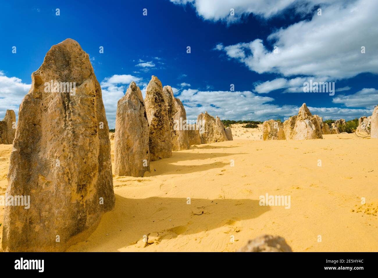 Nuages sombres et bizzar formations pierre Désert des Pinnacles, dans le Parc National de Nambung, dans l'ouest de l'Australie, Océanie Banque D'Images