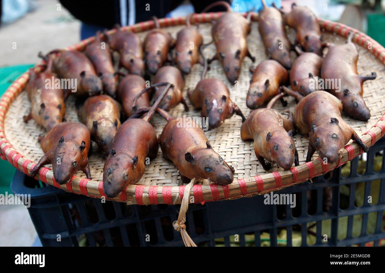 Slaughtered rats are displayed for sale at the market of Canh Nau village,  40 km (25 miles) west of Hanoi December 25, 2011. Canh Nau is known as rat  meat village where