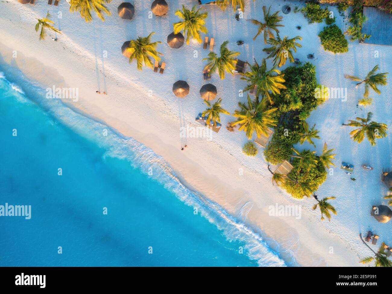 Vue aérienne des parasols et des palmiers sur la plage de sable Banque D'Images