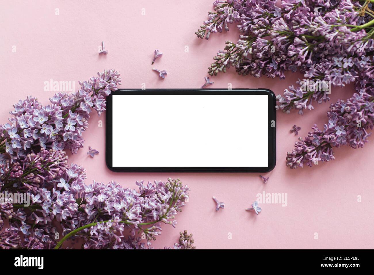 Téléphone avec écran vierge et bordure à plat de fleurs lilas posé sur