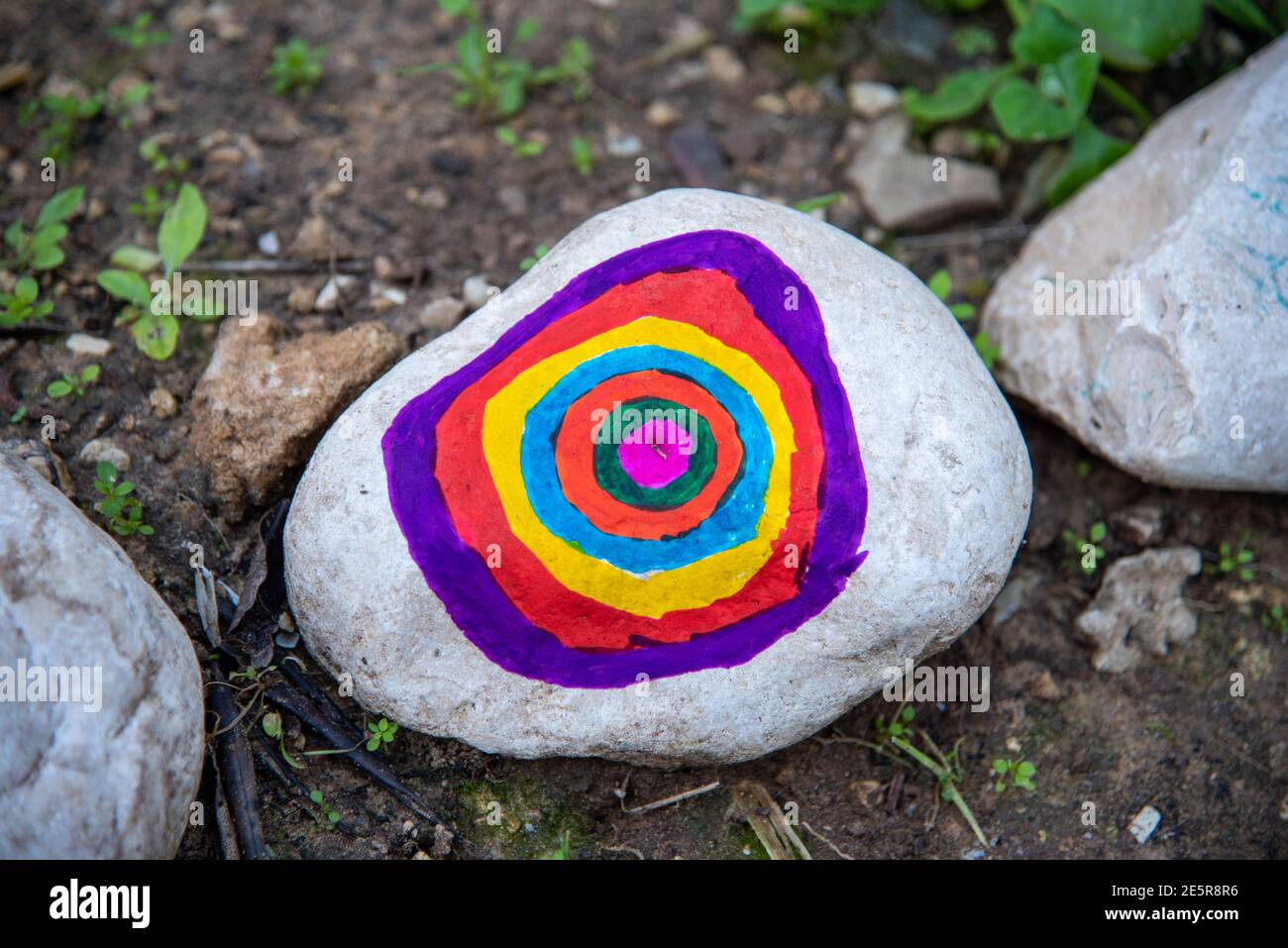 Galets avec une fleur peinte sur le fond d'un jardin écologique coopératif et communautaire. Photo de haute qualité Banque D'Images