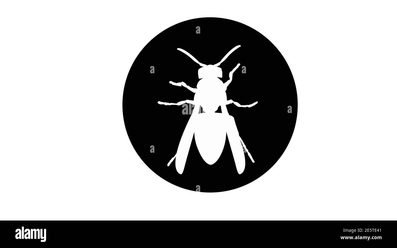 Vecteur Noir et blanc isolé Illustration d'une guêpe. Icône Wasp Illustration de Vecteur