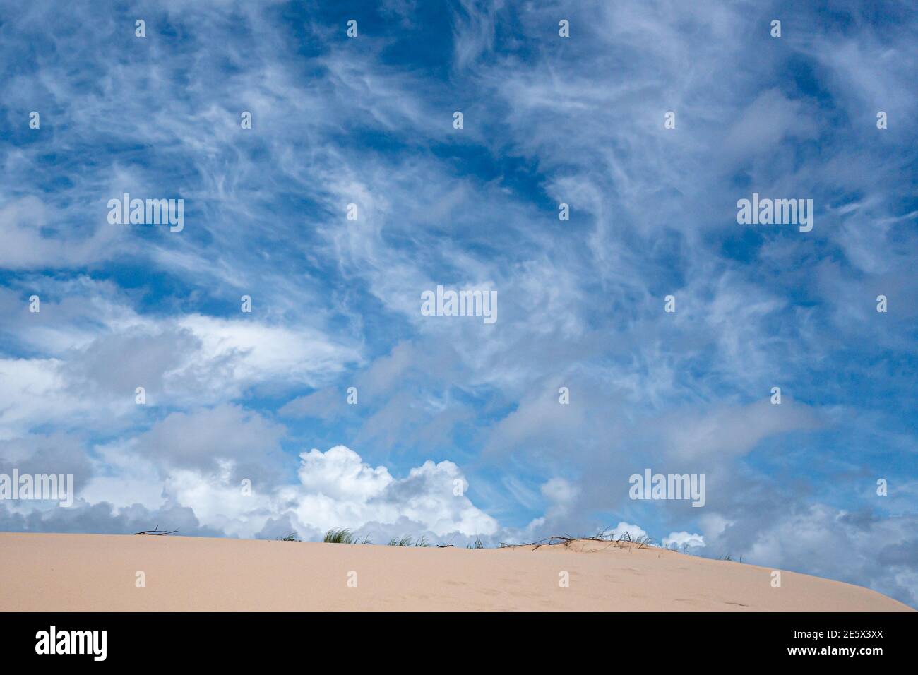 Détail de la crête de dune de sable Duna da Cresmina sous un Ciel bleu avec des nuages formant des motifs abstraits en Cascais Portugal Banque D'Images
