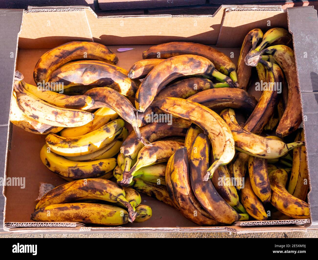 Sur les bananes mûres, à l'extérieur d'un magasin de charité pour que tout le monde les prenne gratuitement Banque D'Images
