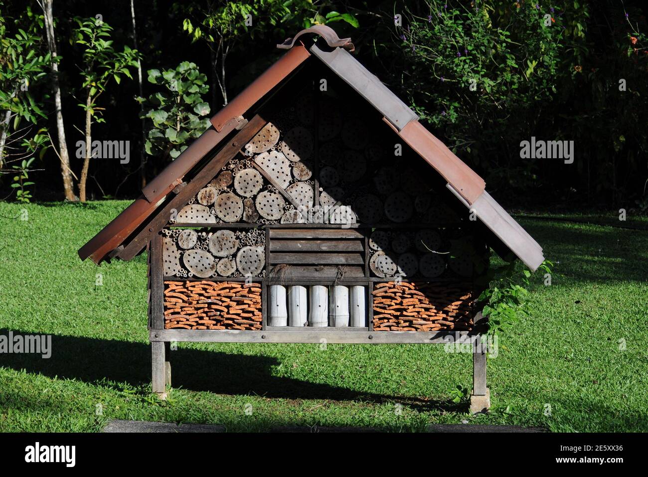 BEE HOTEL, MACAW LODGE, COSTA RICA. Banque D'Images