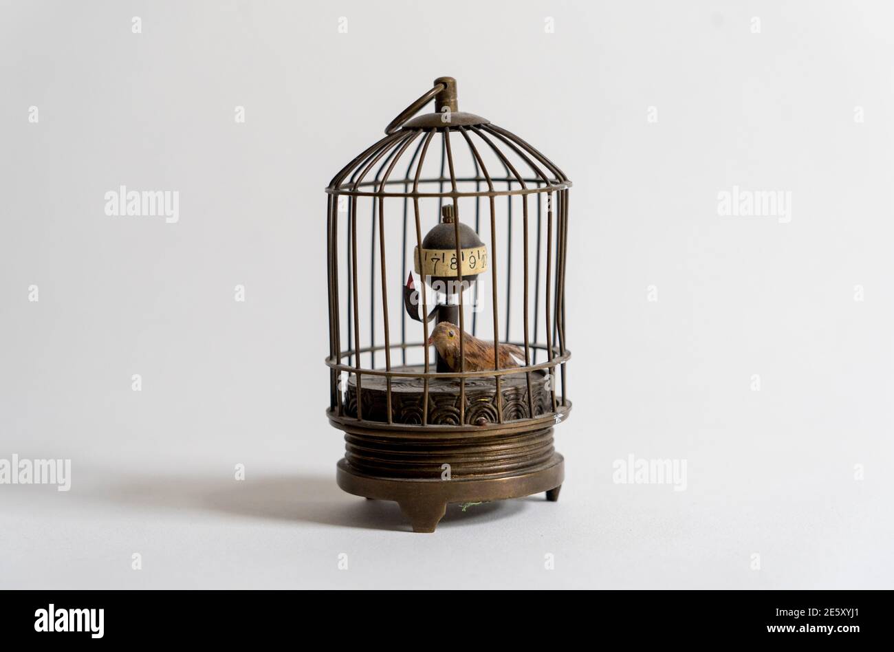 Cage d'oiseau musicale vintage d'automate Photo Stock - Alamy