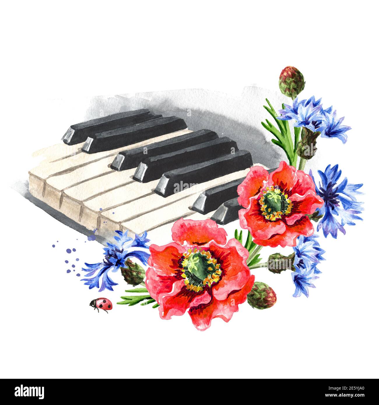 Touches de piano et fleurs. Concept musical d'été. Illustration aquarelle  dessinée à la main isolée sur fond blanc Photo Stock - Alamy