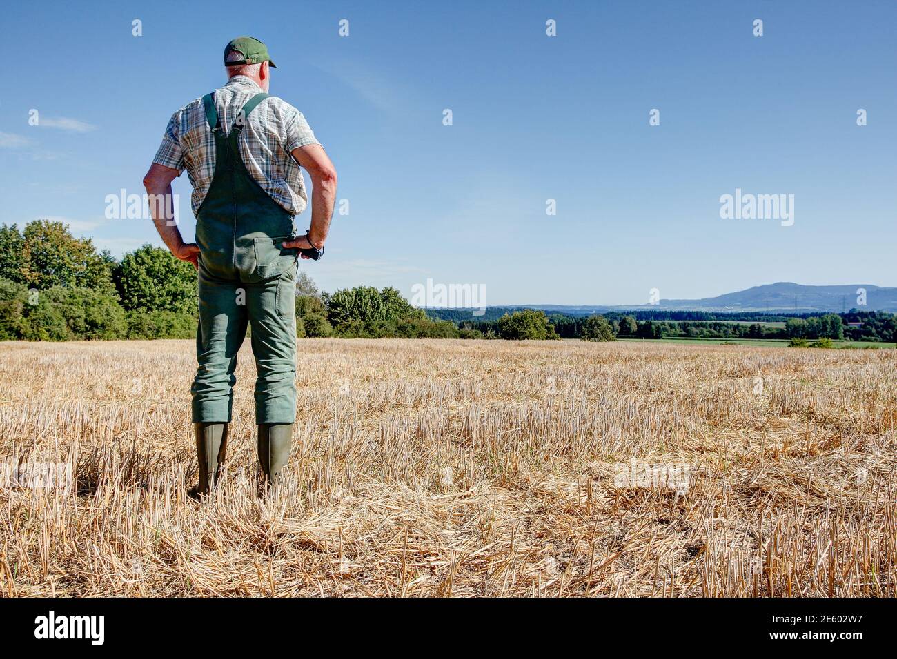 Après la récolte, un agriculteur se tient sur son champ de céréales et jouit de la vue sur le vaste pays jusqu'aux contreforts de l'Alb. Souabe Banque D'Images