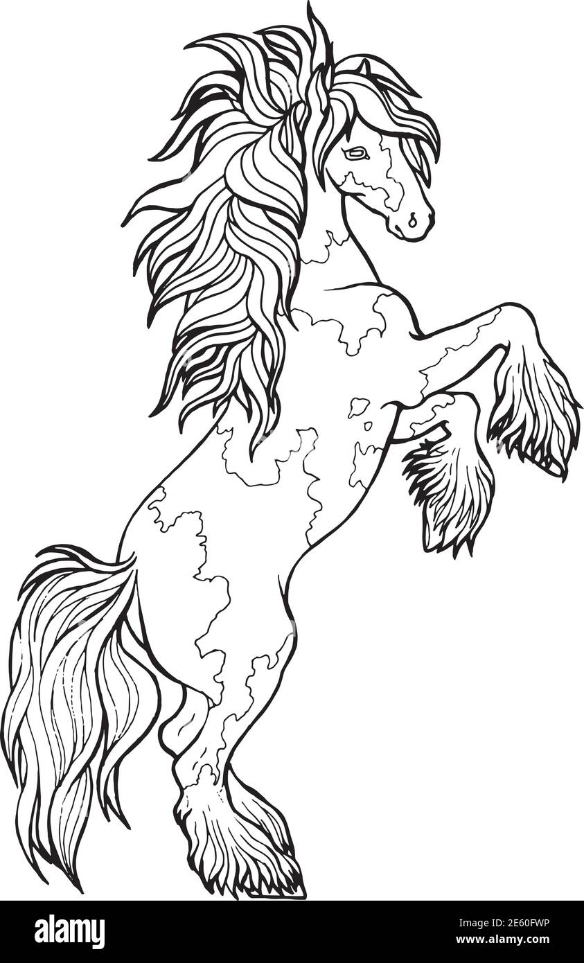 Courses hippiques Livre de coloriage Illustration de Vecteur