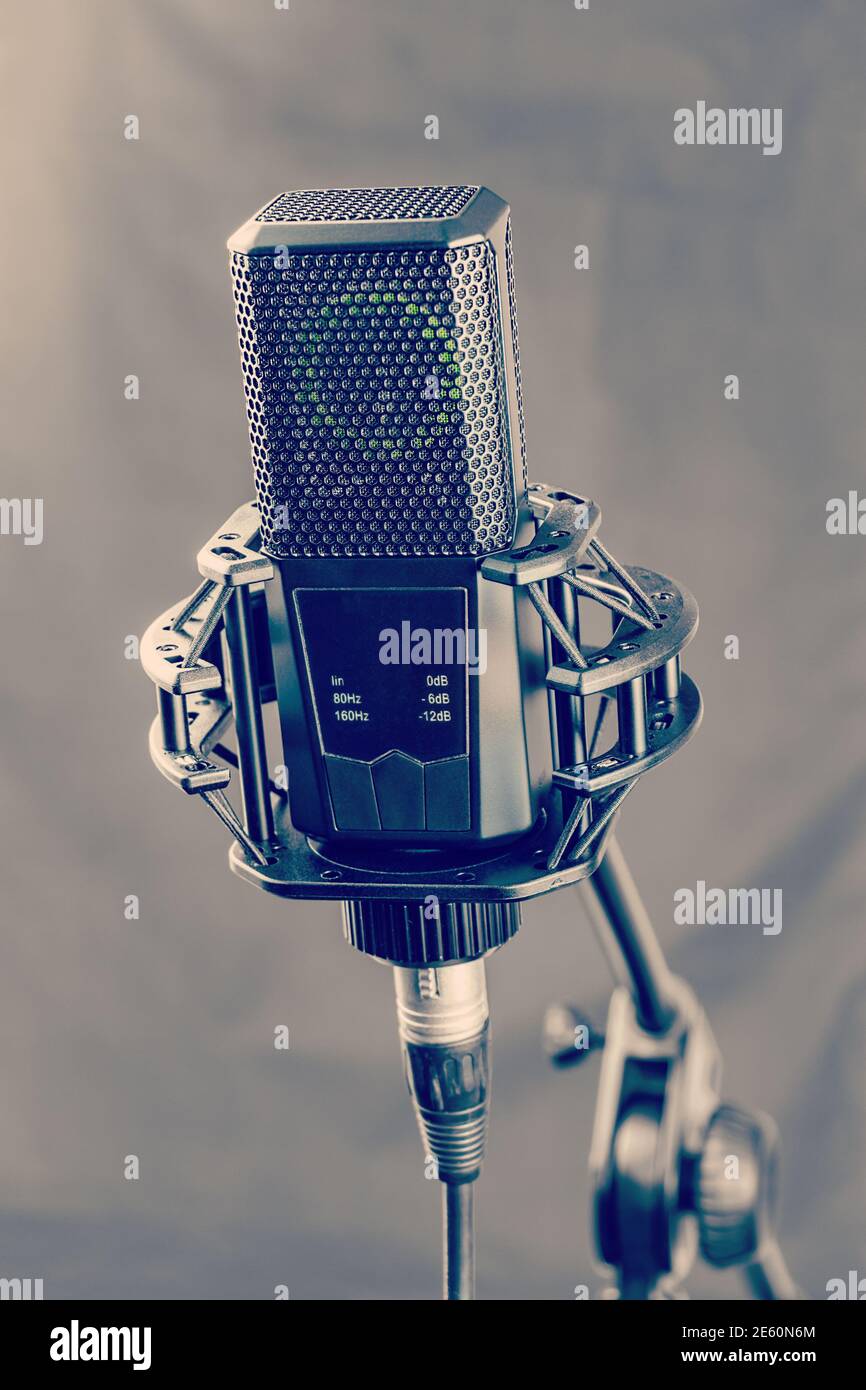 Microphone studio professionnel sur support Banque D'Images