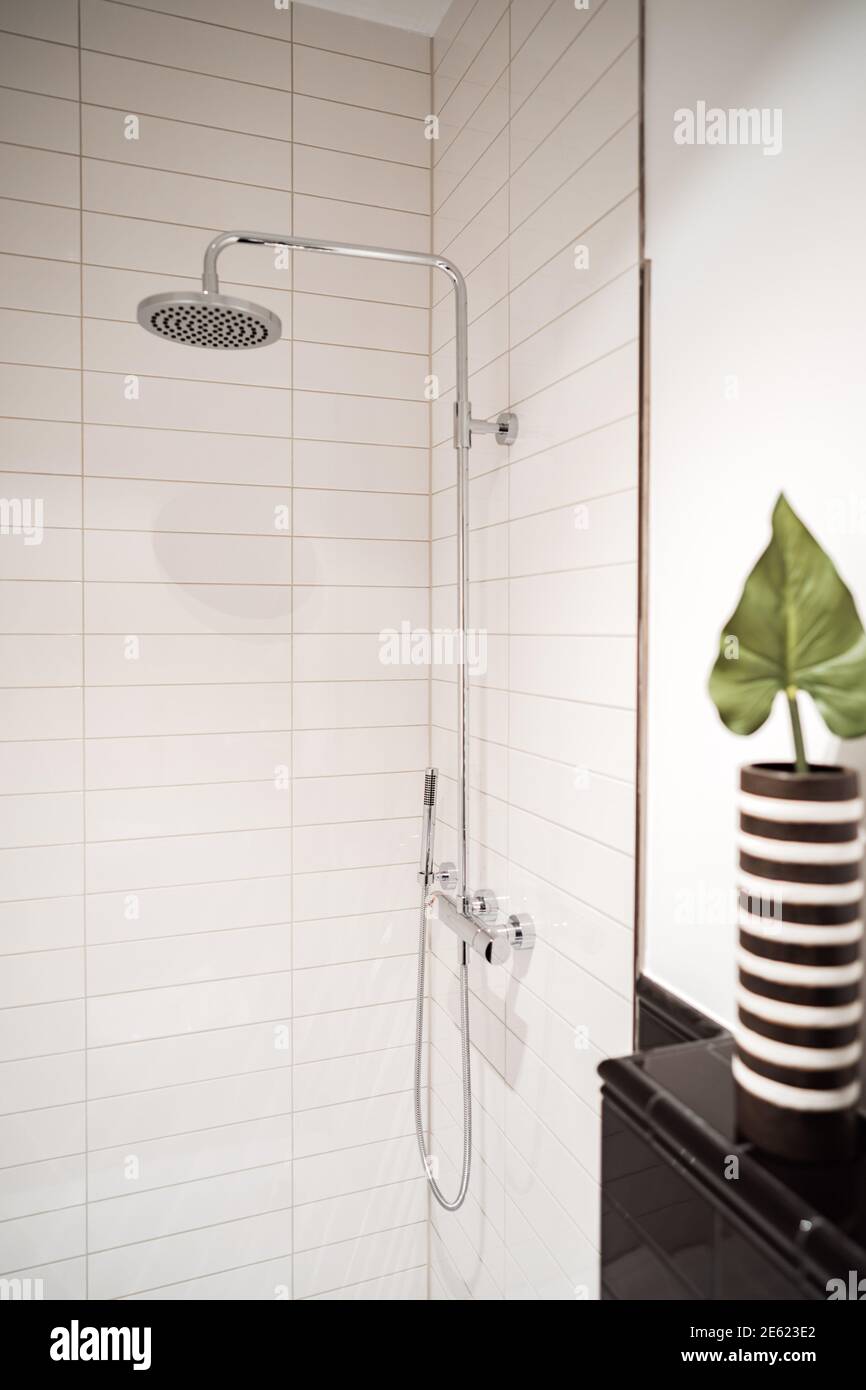 Salle de bain luxueuse avec murs blancs et douche Banque D'Images