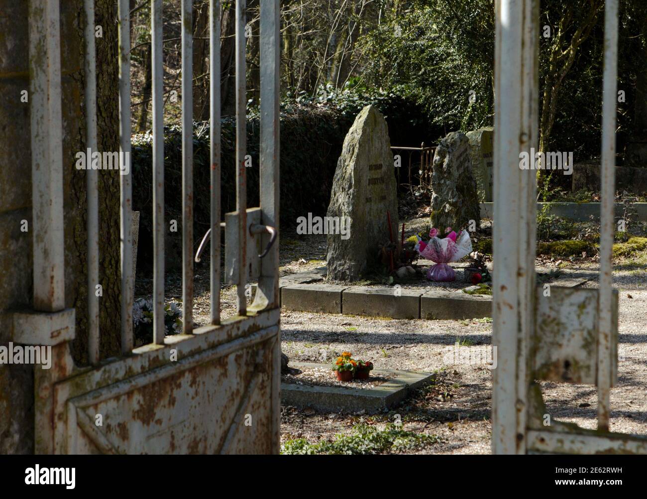 The grave of the late actor Richard Burton (C) is pictured in an old  cemetery in Celigny, 20 km (12 miles) east of Geneva March 24, 2011.  According to celebrity folklore, Elizabeth