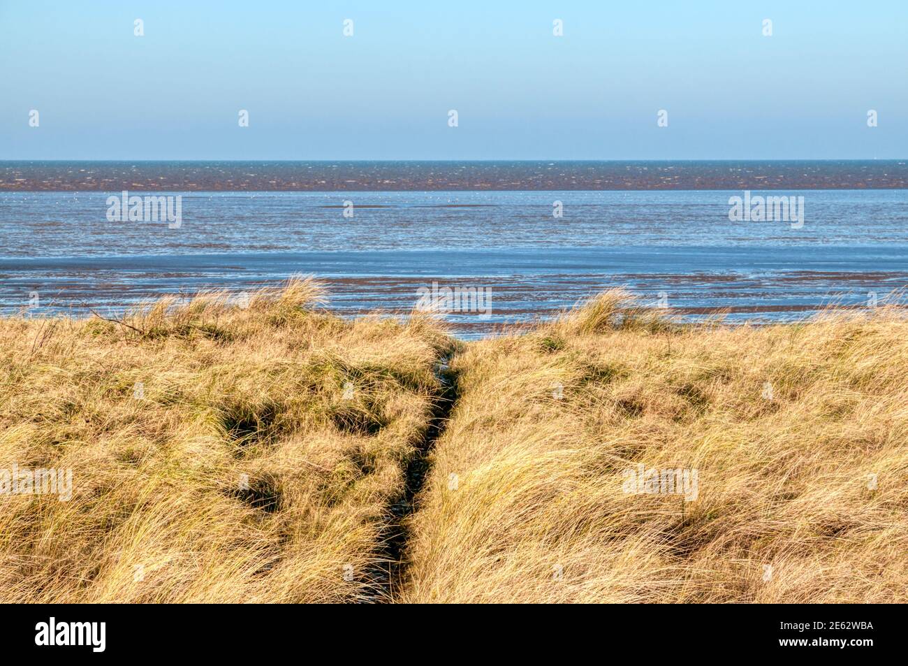Un chemin à travers l'herbe jusqu'à la rive est du Wash en hiver, entre Snettisham et la plage de Heacham à Norfolk. Banque D'Images