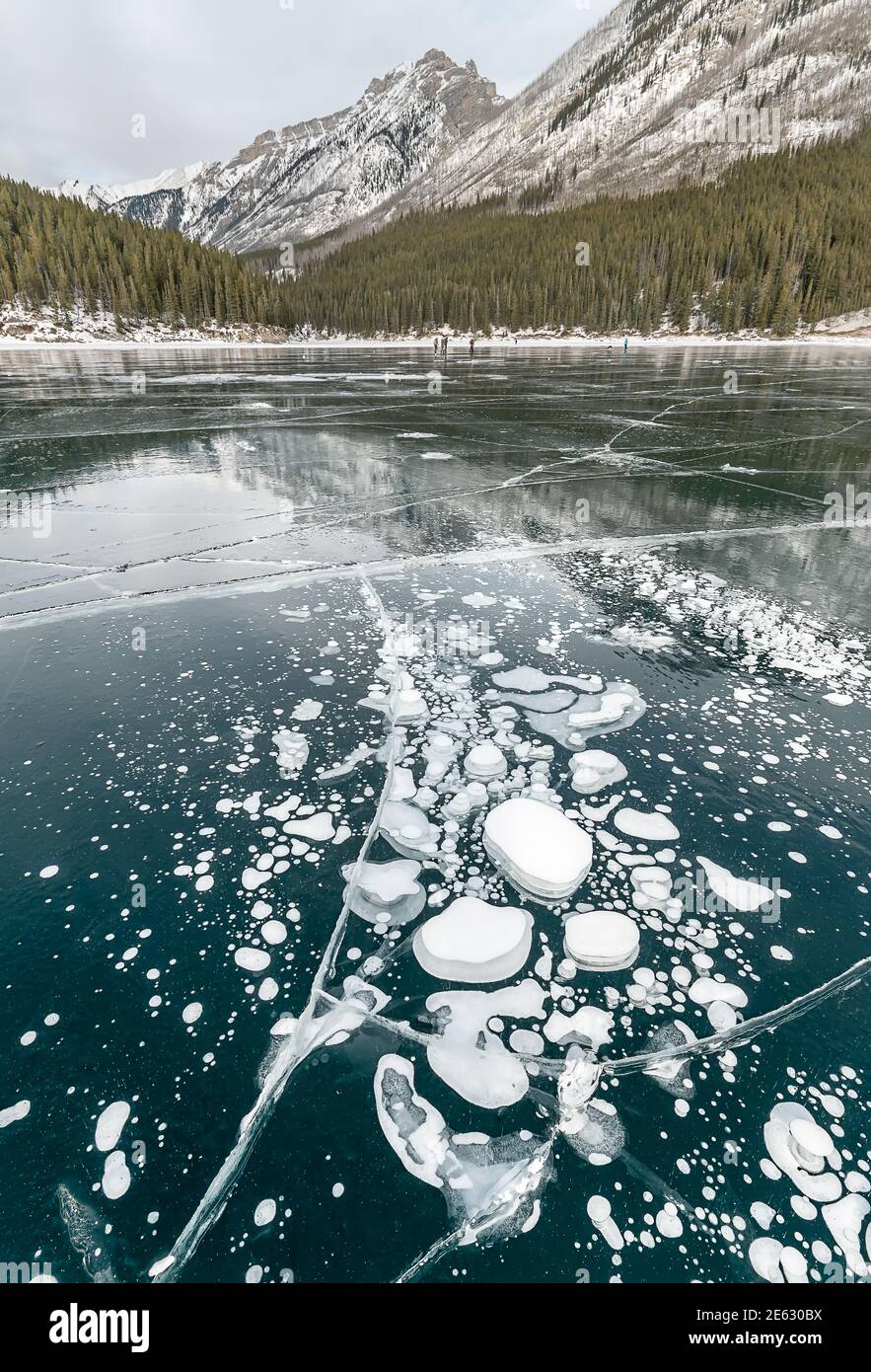 Bulles de méthane piégées dans la glace du lac Minnewanka, dans le parc national Banff, Alberta, Canada Banque D'Images