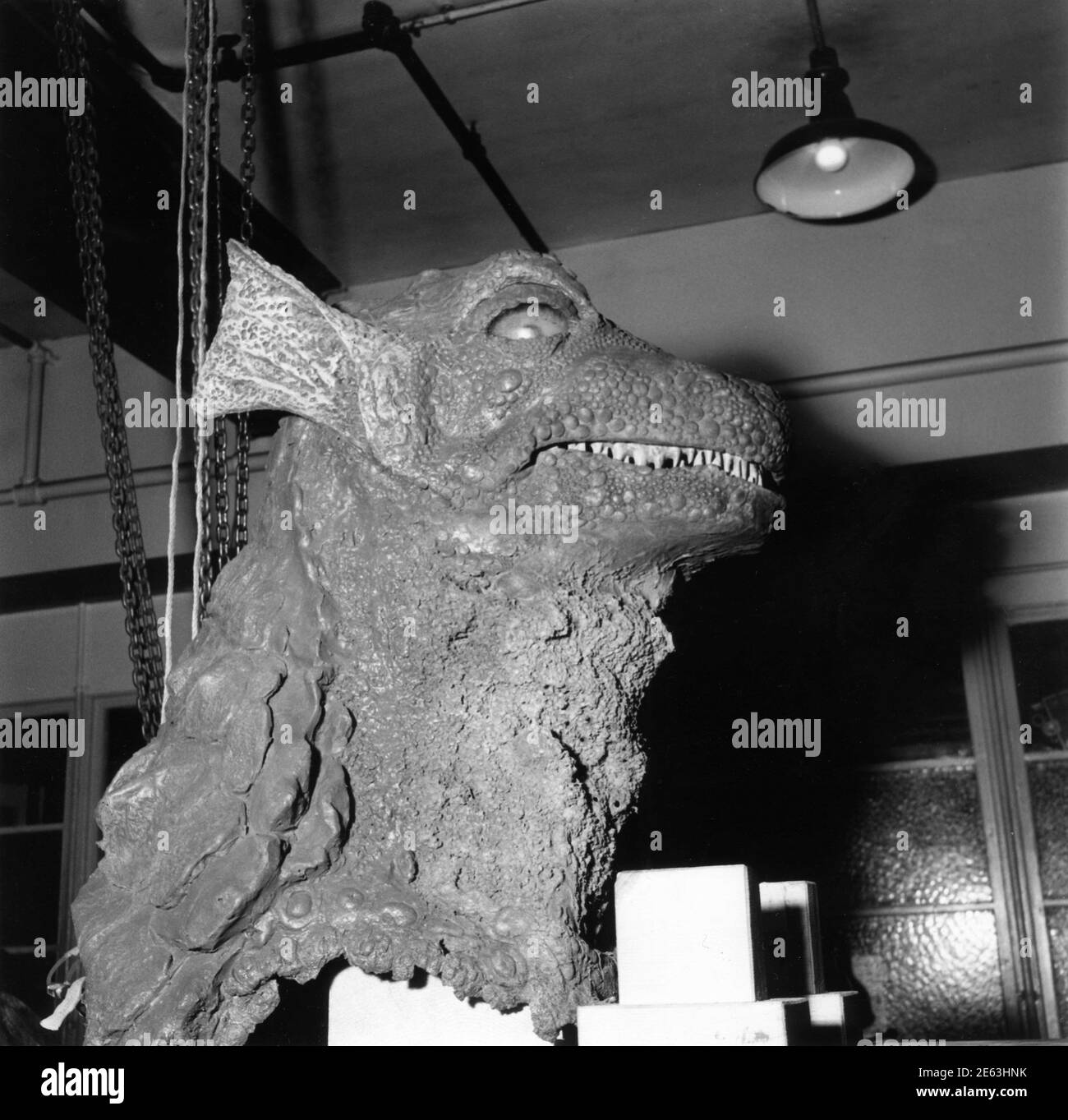 Référence photo prise pendant la construction du Monster Lizard pour LE  réalisateur DE GORGO 1961, EUGENE