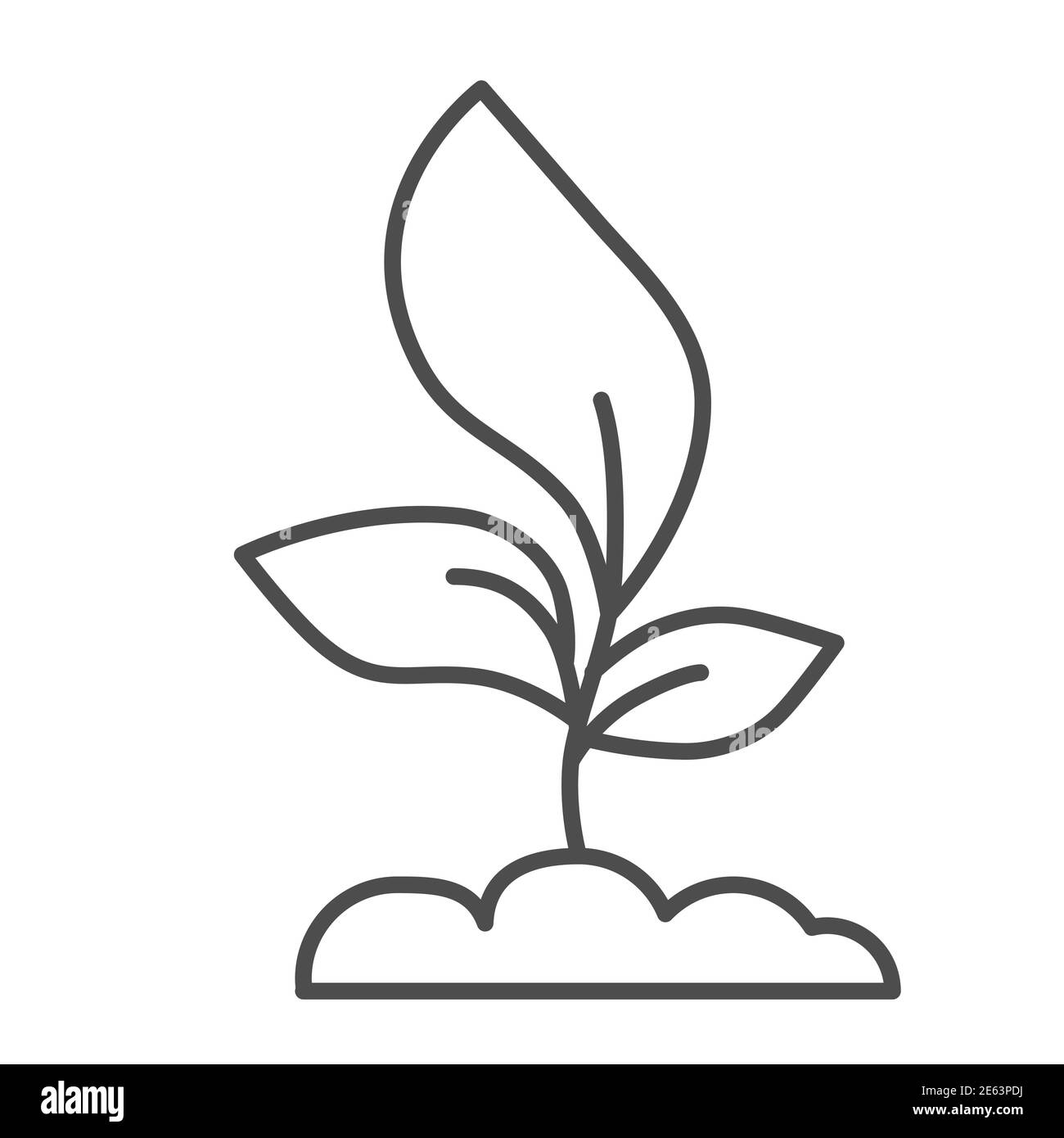 Jeune plantule avec trois feuilles icône de ligne mince, concept d'agriculture, symbole de Sprout sur fond blanc, icône de plante en croissance dans le style de contour pour Illustration de Vecteur