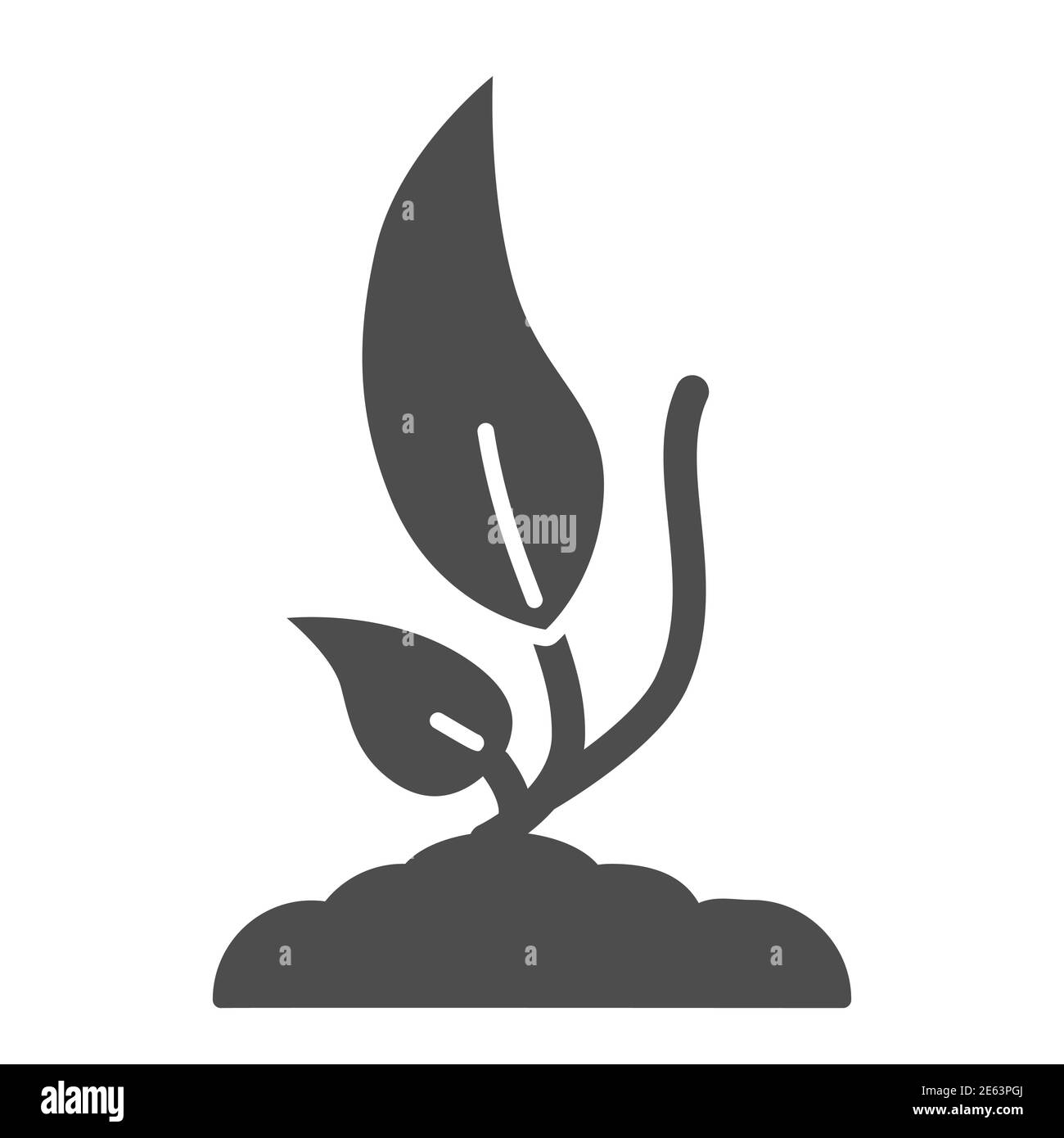 Germe de plante à partir de l'icône solide du sol, concept d'écologie, signe germinates de semis sur fond blanc, petit germe avec deux feuilles icône en glyphe Illustration de Vecteur