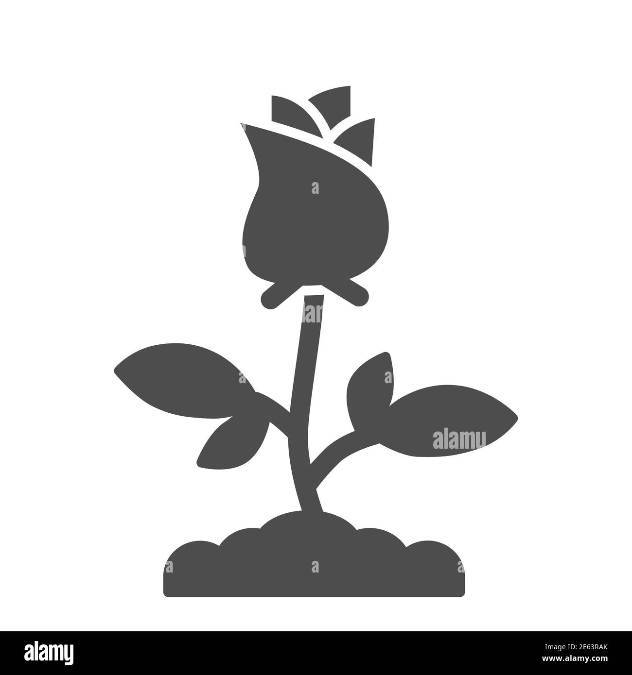 Rose icône solide, Floral concept, Rose fleur avec feuilles signe sur fond blanc, une rose icône fleur en style glyphe pour le concept mobile et le web Illustration de Vecteur