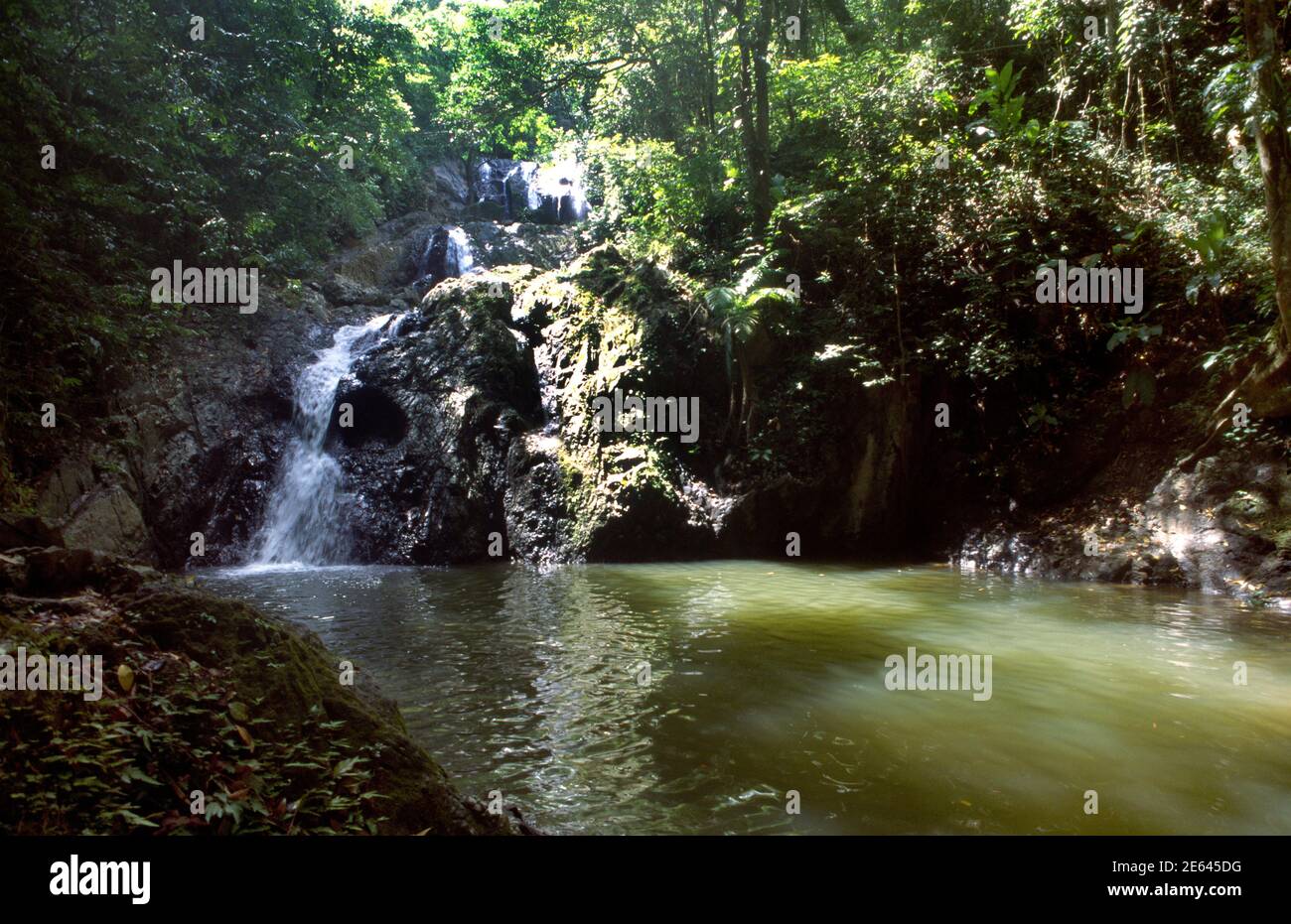 Cascade de Tobago Argyll Falls Banque D'Images