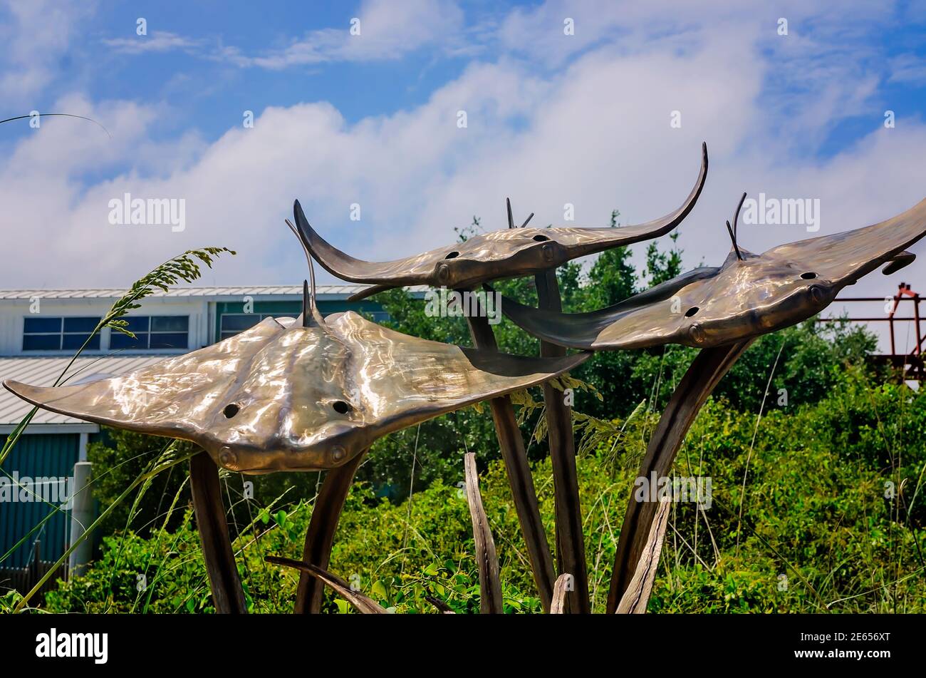 Une sculpture de trois rayons de cowose est photographiée à l'entrée de Dauphin Island Sea Lab et d'Estuarium, le 23 juin 2017, à Dauphin Island, en Alabama. Banque D'Images