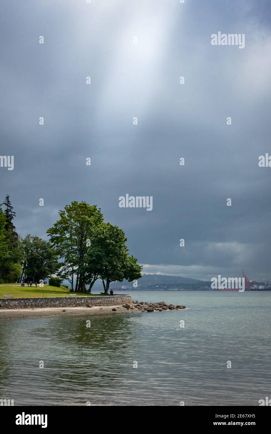 Totems dans le parc Stanley de Vancouver, Colombie-Britannique, Canada Banque D'Images