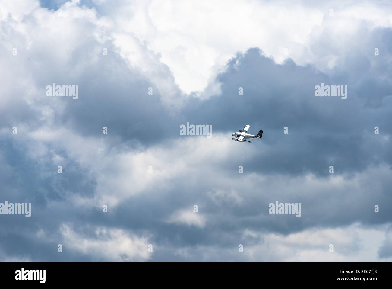 Totems dans le parc Stanley de Vancouver, Colombie-Britannique, Canada Banque D'Images