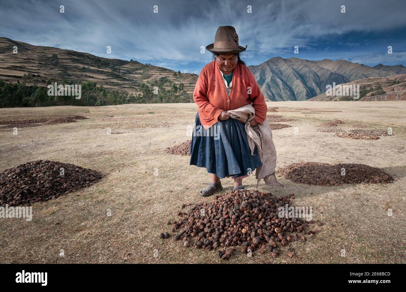 Chinchero, Perú - 11 juillet 2011 : femme travaillant à la production de pommes de terre déshydratées. Les pommes de terre sont sèches et les exposent au soleil et au gel. Banque D'Images